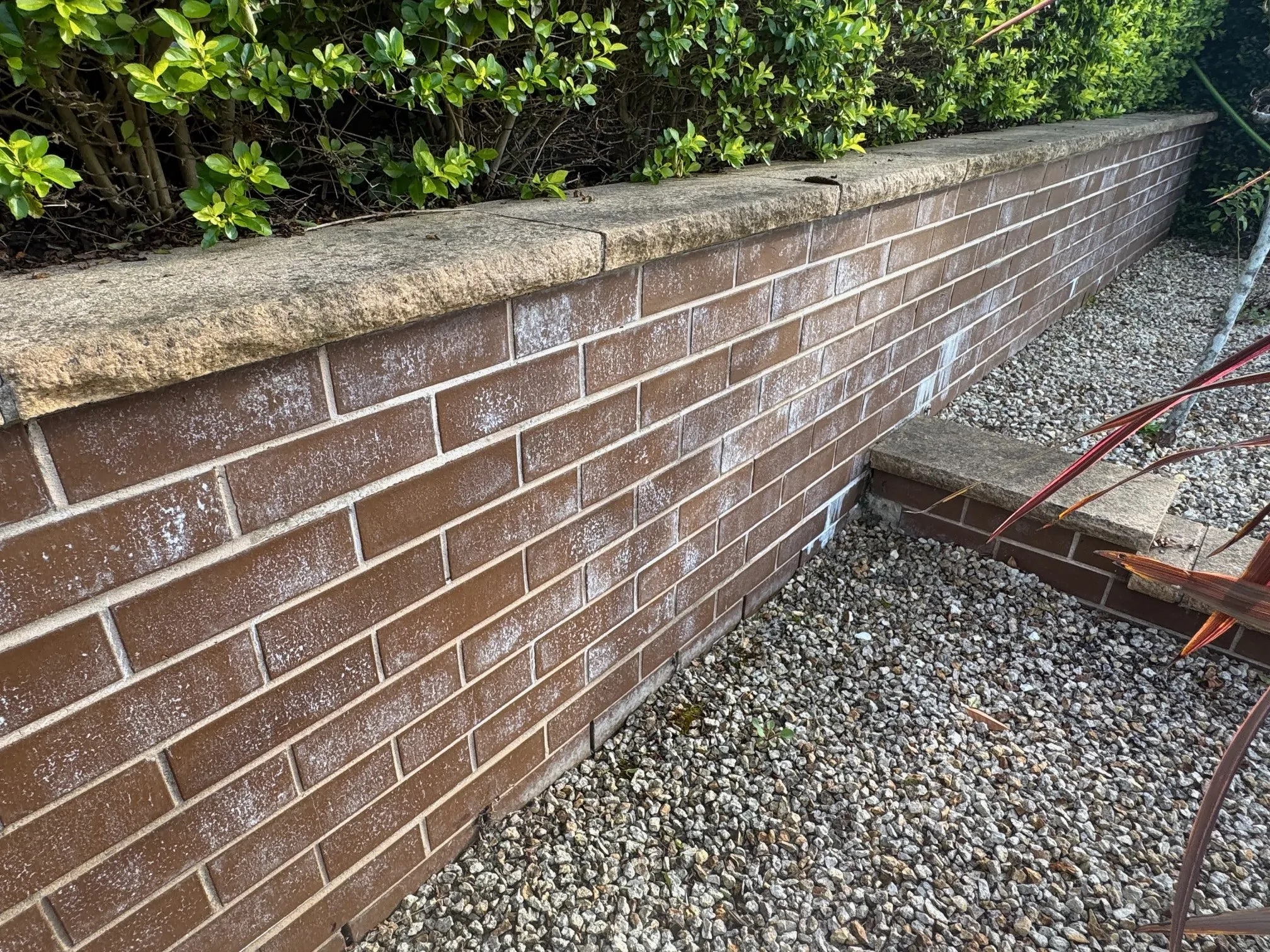 Efflorescence Removal Sydney | Kasper Brick Cleaning
